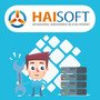 Haisoft Logo